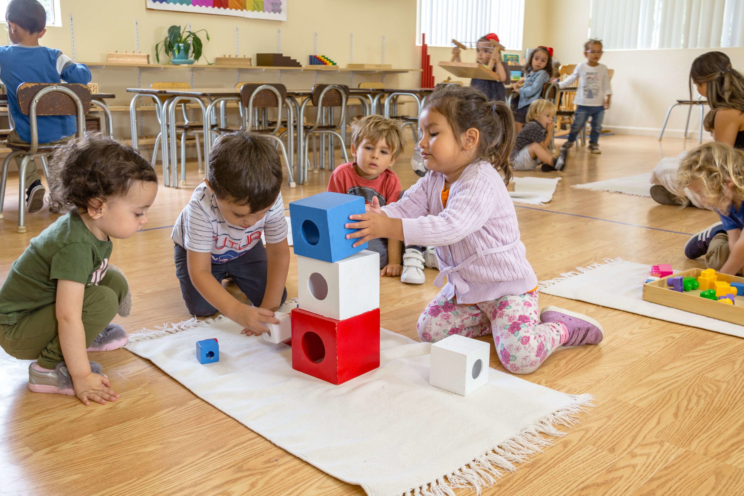 Montessori School Near Me Woodpark Montessori